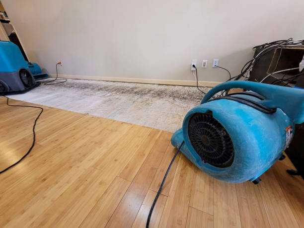 Professional Sewage Cleanup technician working in Whiteville, NC